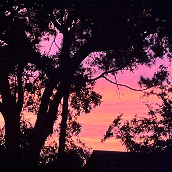 Meet your Posher, Jen - Picture 1 of 1